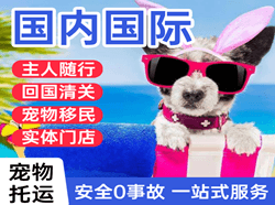 秦皇岛机场托运国际宠物托运 【国